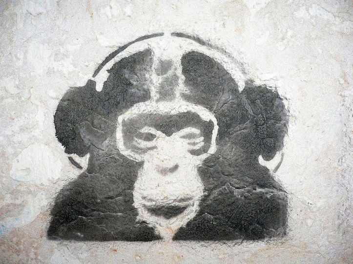 Funky Monkey by Retinafunk (CCBY)